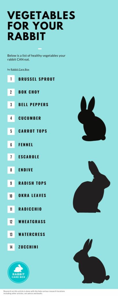 vegetables for rabbits
