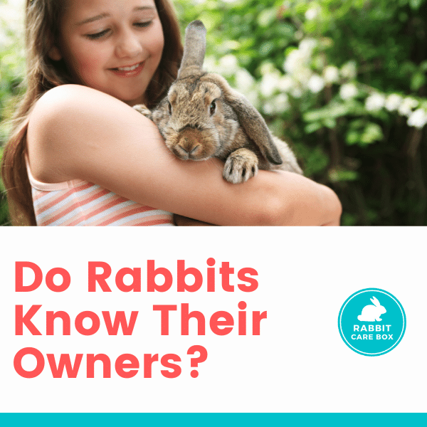 do rabbits know their owners