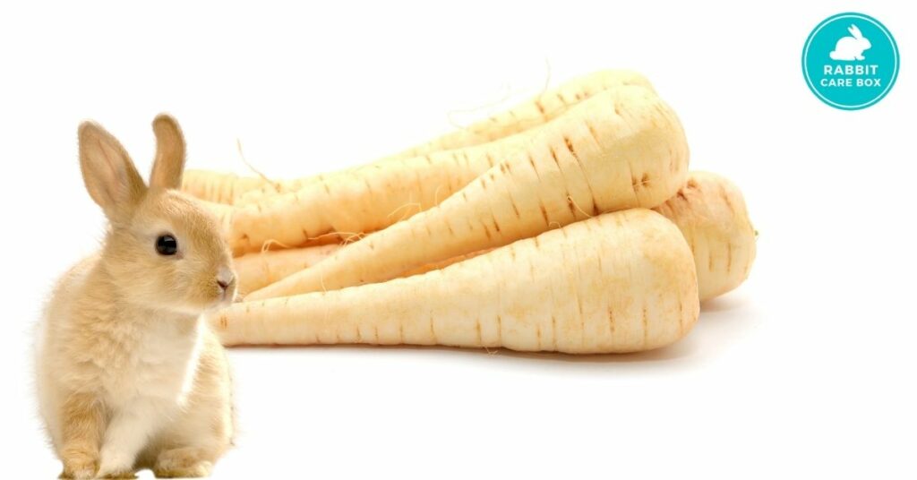 do rabbits like parsnips