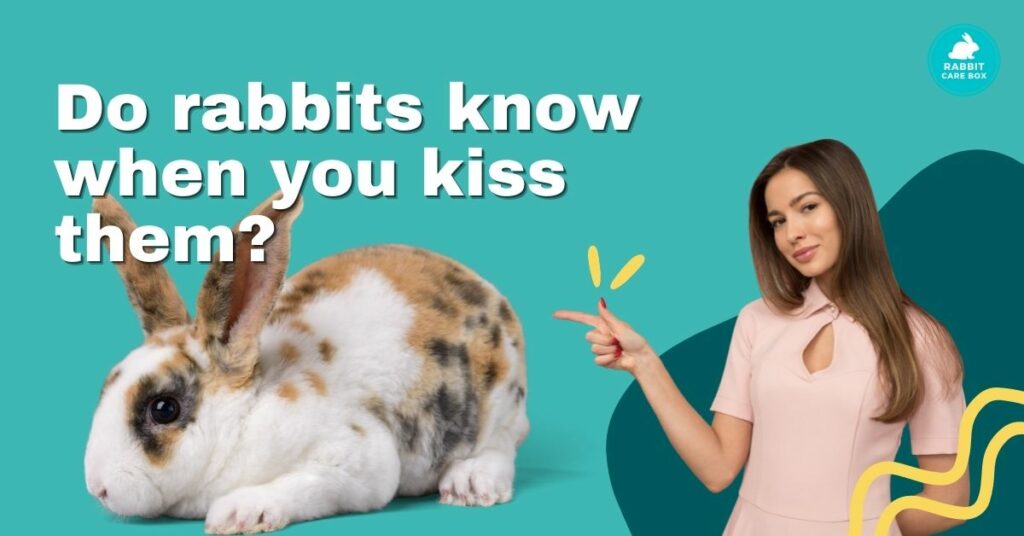 Do rabbits know when you kiss them