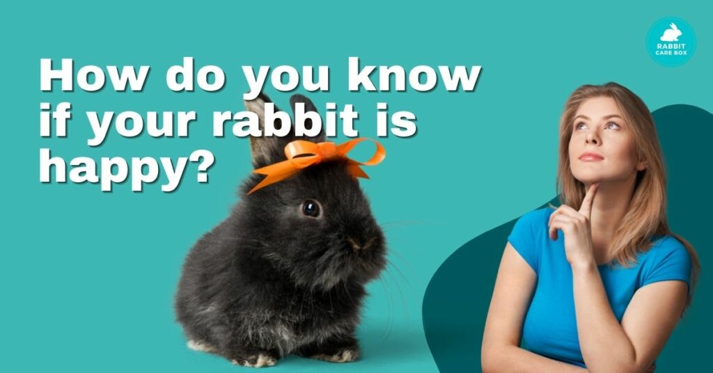 How do you know if your rabbit is happy