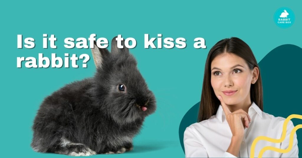 do rabbits understand kisses and is it safe