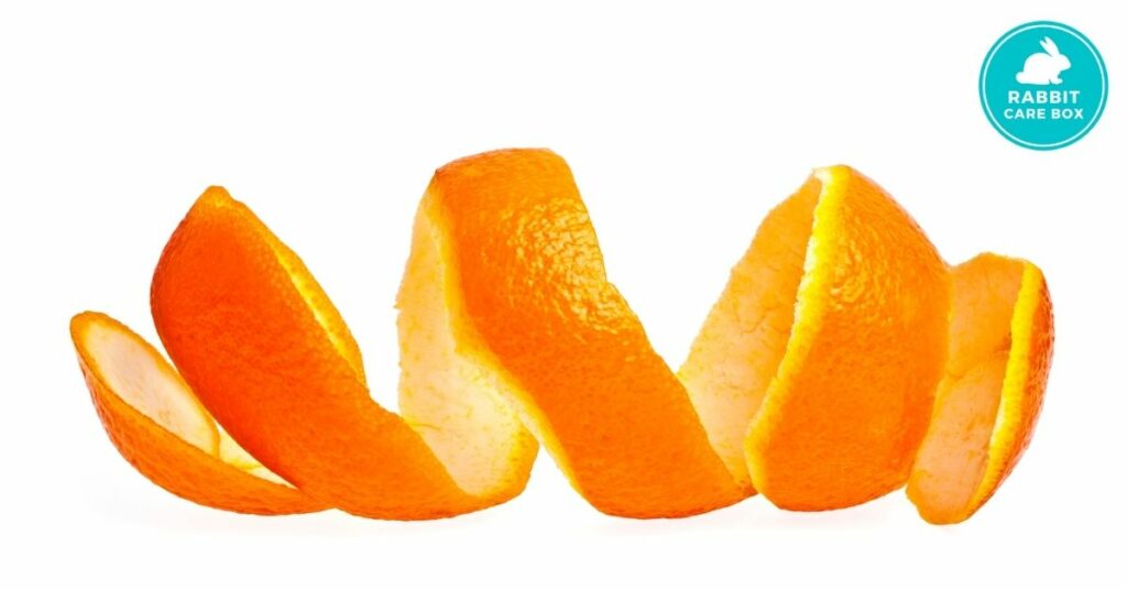 can rabbits eat orange peel