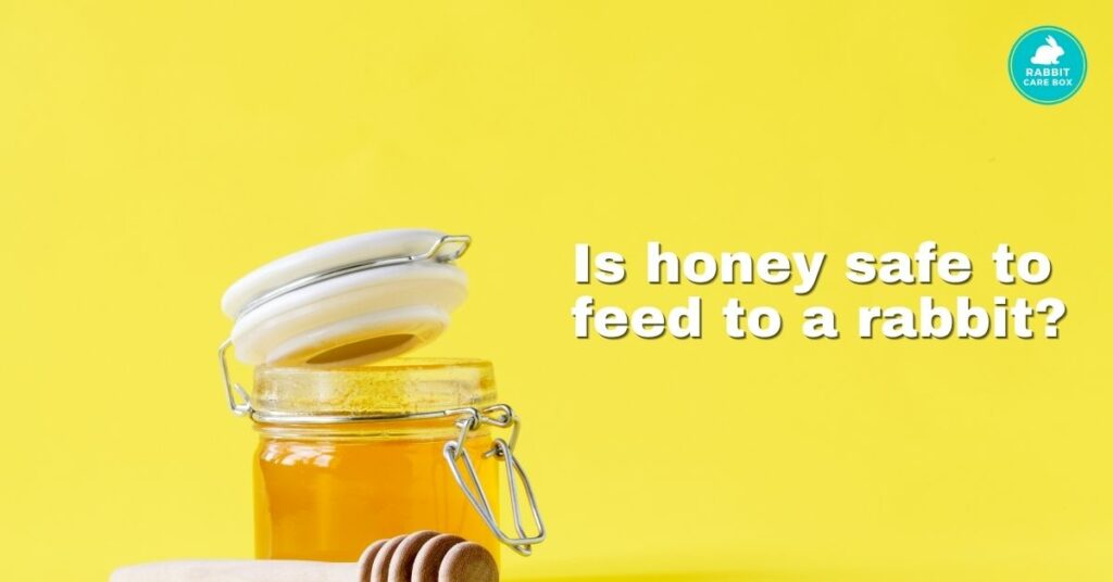 Is honey safe to feed to a rabbit