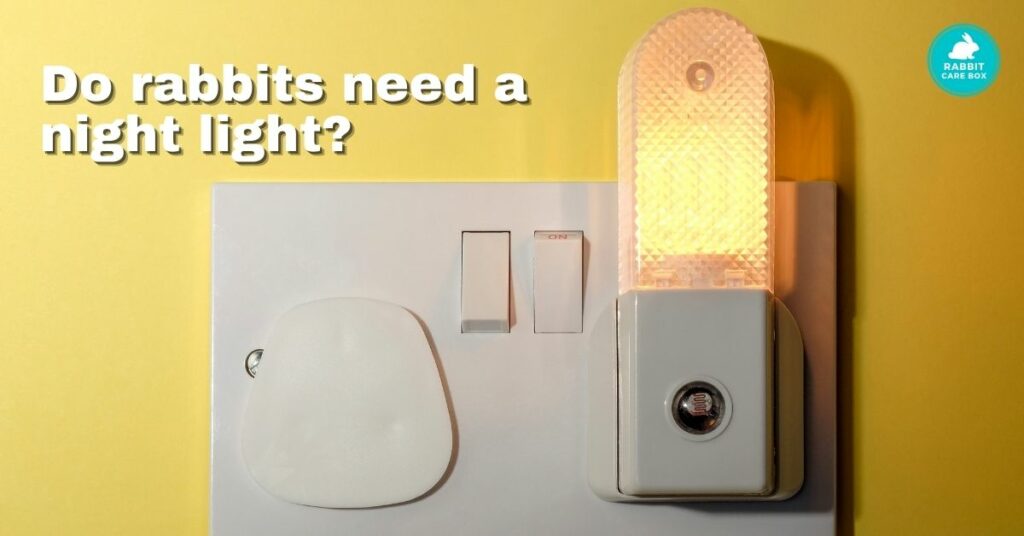 do rabbits need a night light