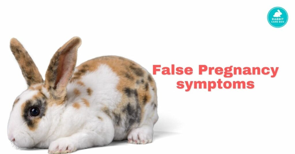 False Pregnancy symptoms