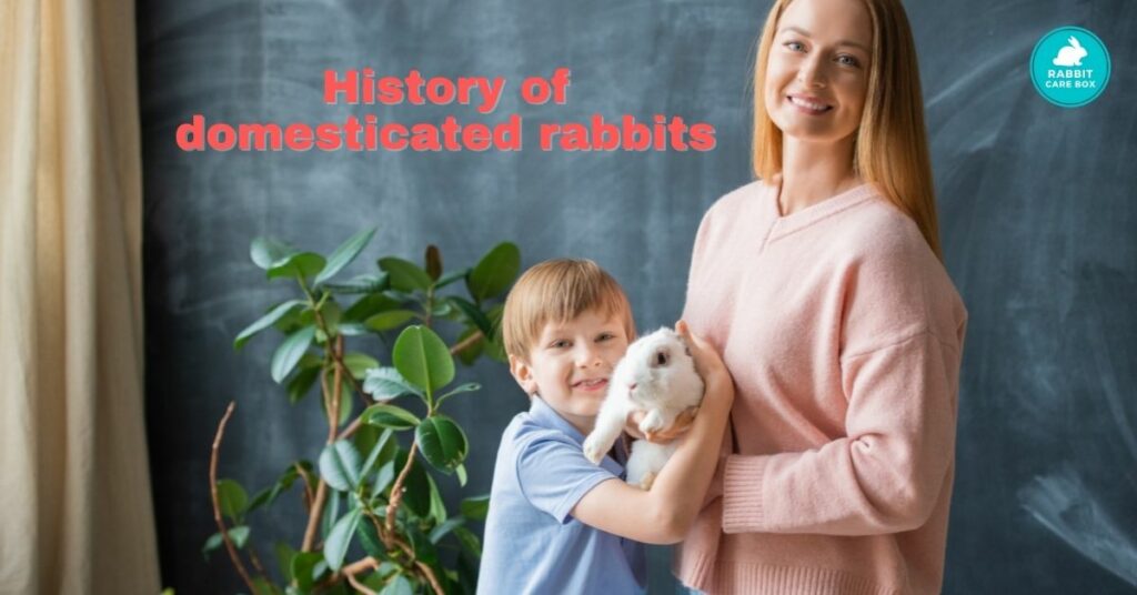 History of domesticated rabbits
