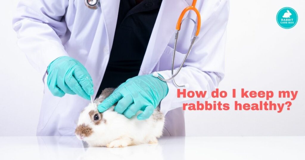 How do I keep my rabbits healthy