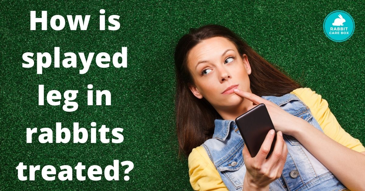 What causes splayed legs in rabbits Rabbit Care Box