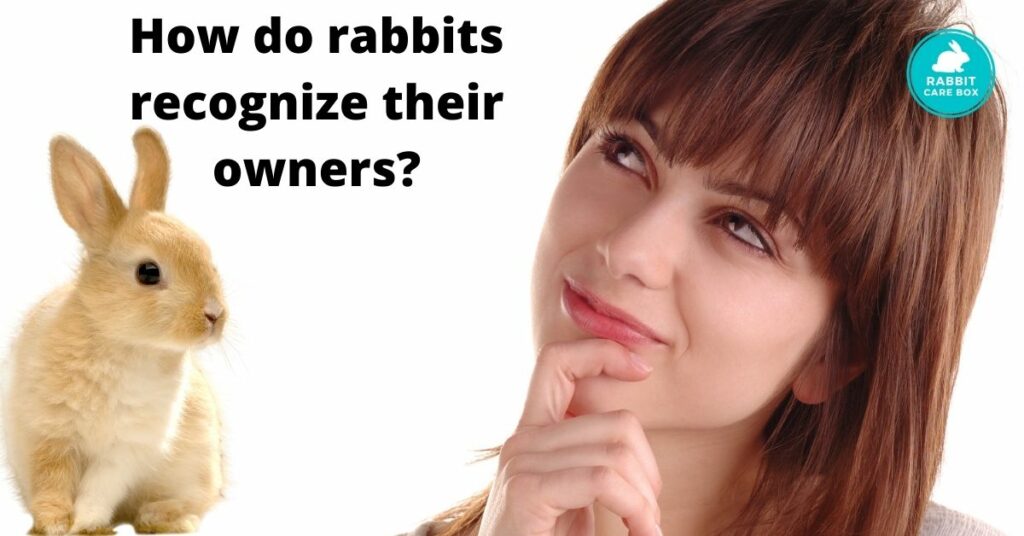 How do rabbits recognize their owners