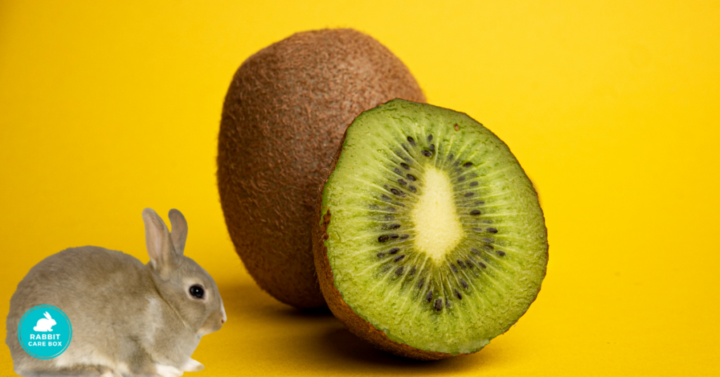 Are Kiwis Good For Rabbits