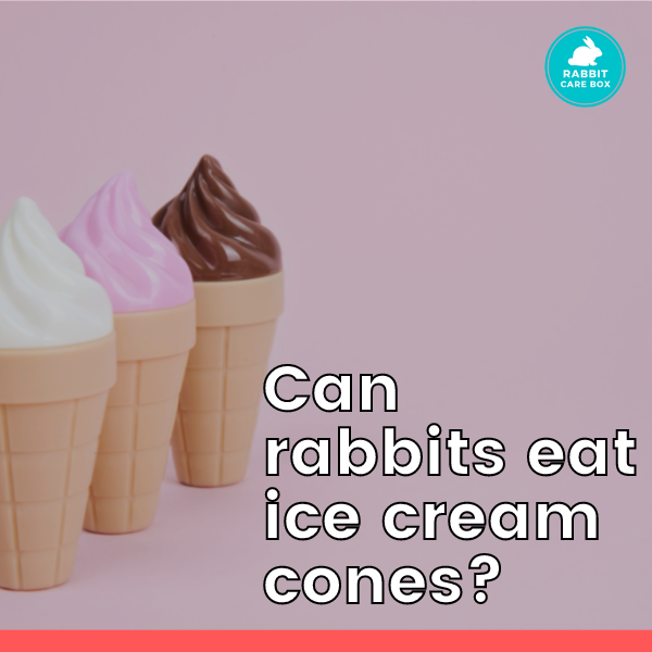 Can rabbits eat ice cream cones