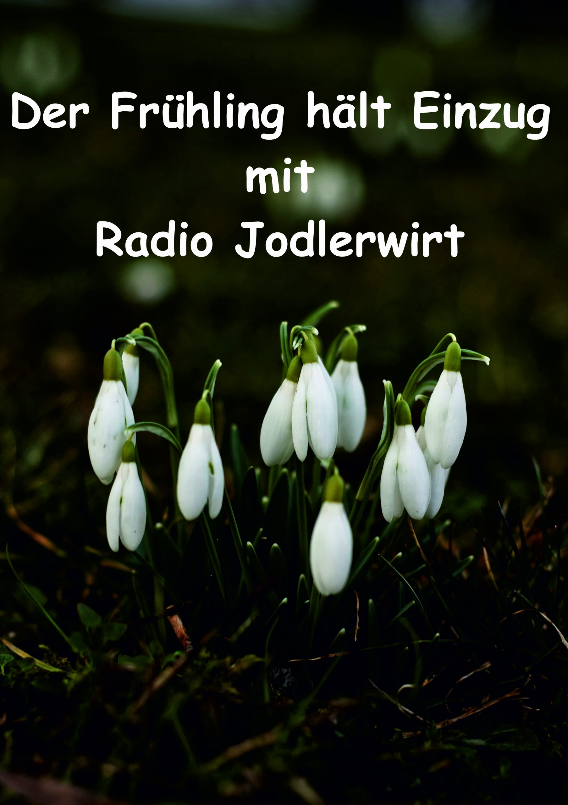 Frühling