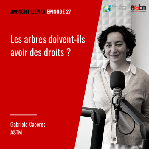 Les arbres doivent-ils avoir des droits ? Les arbres doivent-ils avoir des droits ?