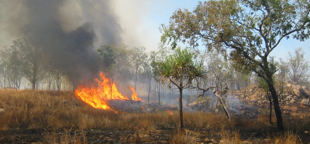 Buschfeuer in Australien