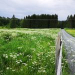 Naturbilde fra Toten