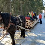 Skogsdrift med hest 2022