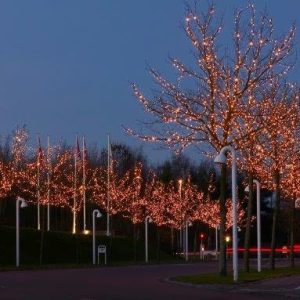 LYSKÆDE UDBYGNING LED 300 Lys - 30 meter - Sirius Tech-Line (45773)