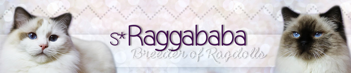 S*Raggababa