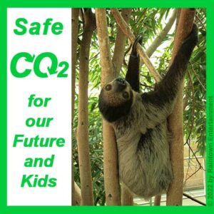 Safe CO2 for Future and our Kids