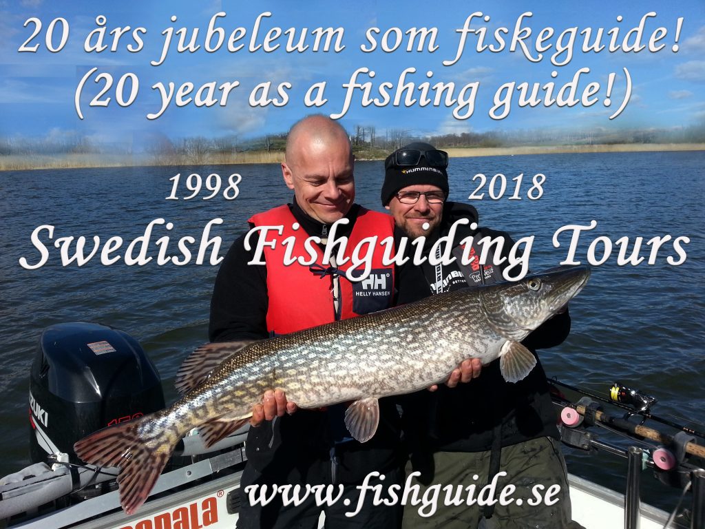 Fiskeguide Micke Puhakka | 20 år som fiskeguide