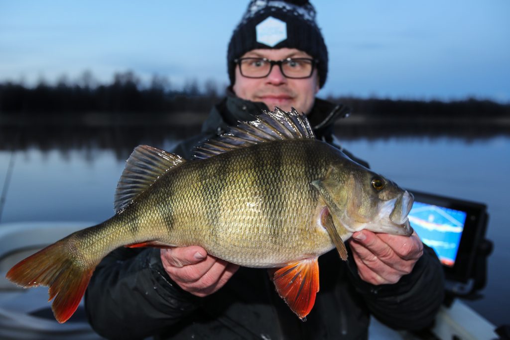 Stefan Källström abborre 1.71 kg