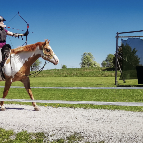 Dalecarlian Horse Academy