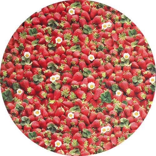 Raved Round Oilcloth ø 160 cm - Strawberries