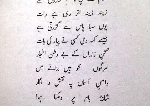 Zindan ki ek Shaam - Faiz Urdu Poem-1