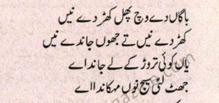 Ke Jeevan Daa Maqsad - Punjabi Poem