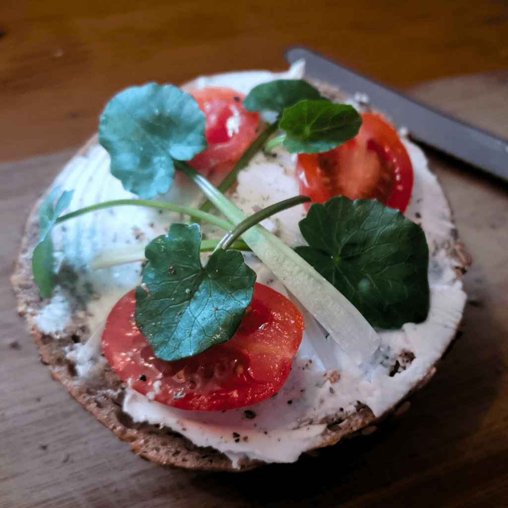 Wir sehen ein Brötchen, das mit Scharbockskraut und Tomaten belegt ist.