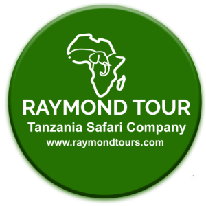 Tanzania safari-companies