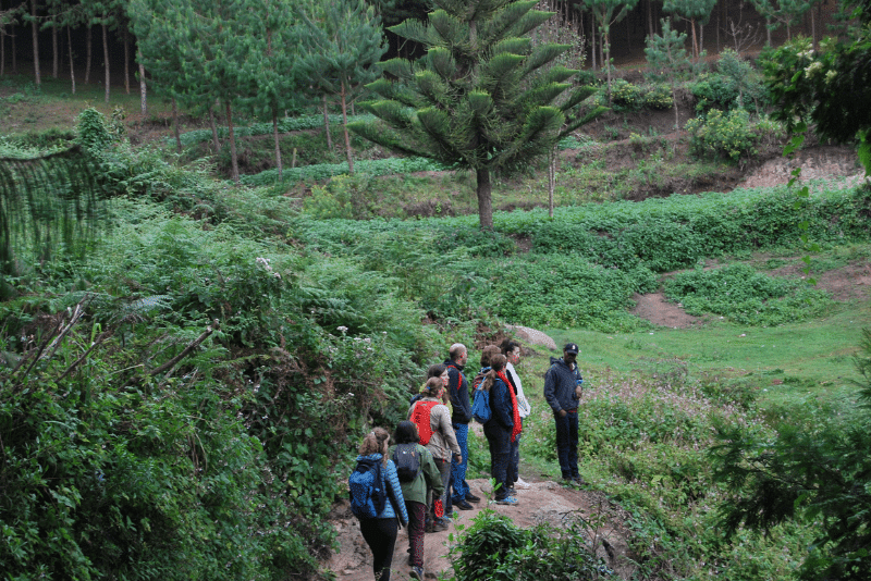 USAMBARA MOUNTAINS HIKING