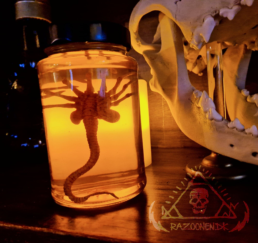 Facehugger RåZoonen