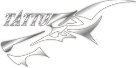 Tattu Battery Logo - RcHobby24