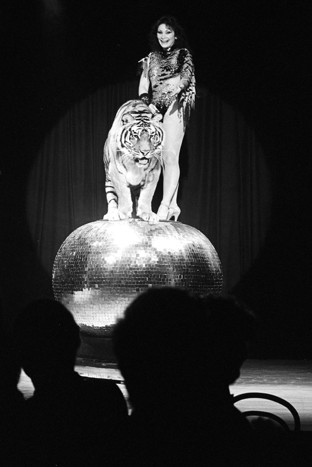 BILD_10_-00063.BOUGLIONES_TIGER_SHOW