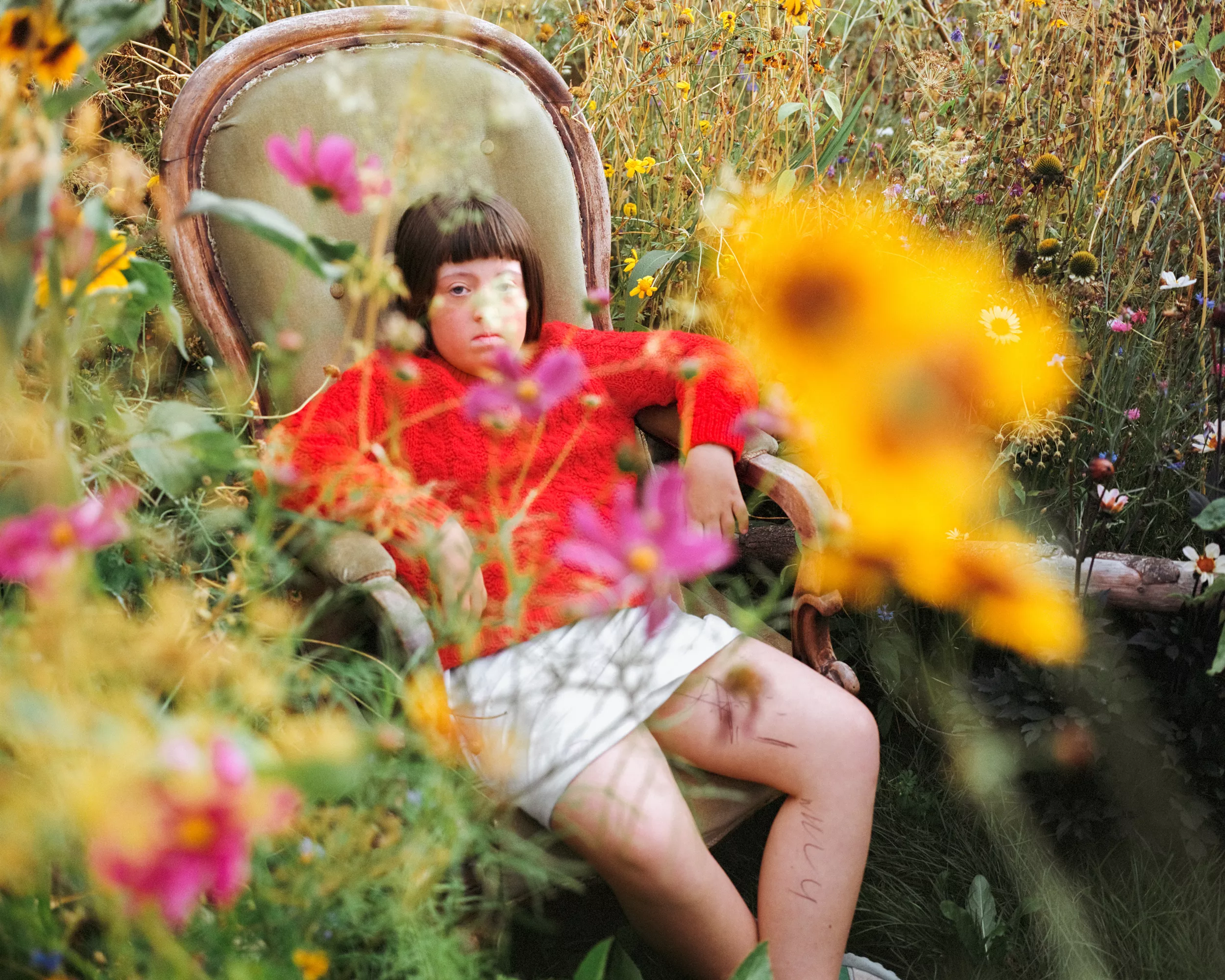 Alice – The Garden