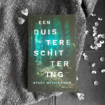 Een duistere schittering - Stacy Willingham