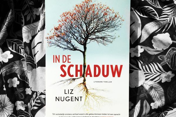 In de schaduw – Liz Nugent