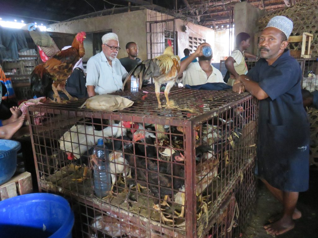 chickens at a chicken shop