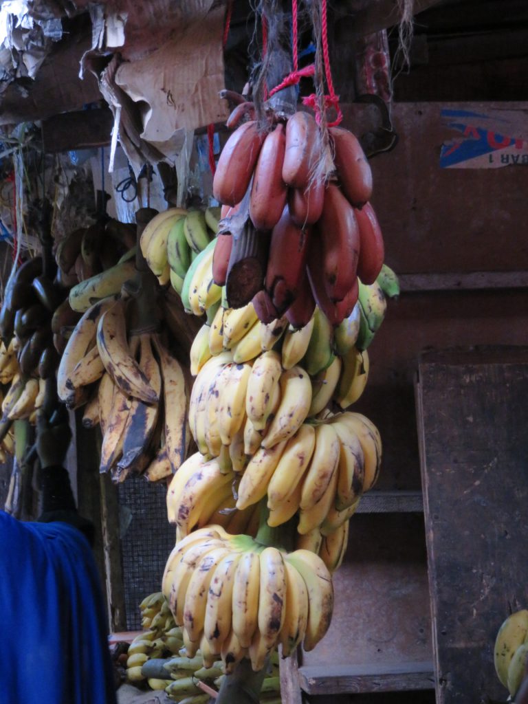 bananas hanging on display for sale