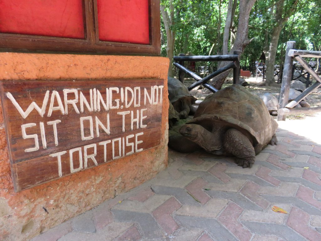 a picture of a sign to not sit on the tortoise