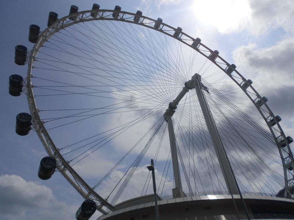 a picture of the Singapore Flyer