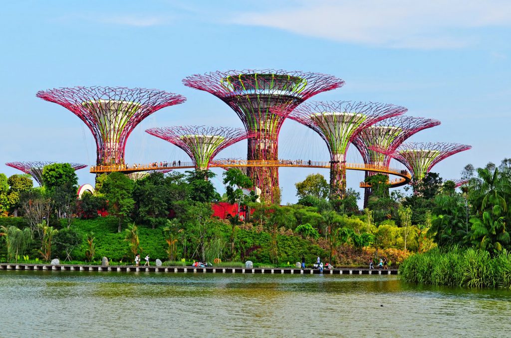 a picture of the tree towers in Gardens by the Bay