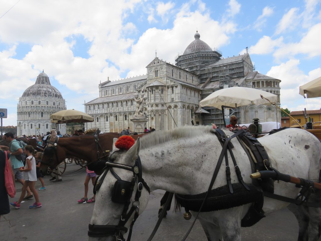 a picture of horse carriages for tourists