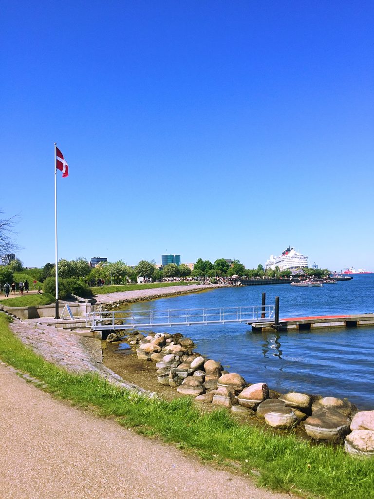 A picture of the Danish flag on the waterfront