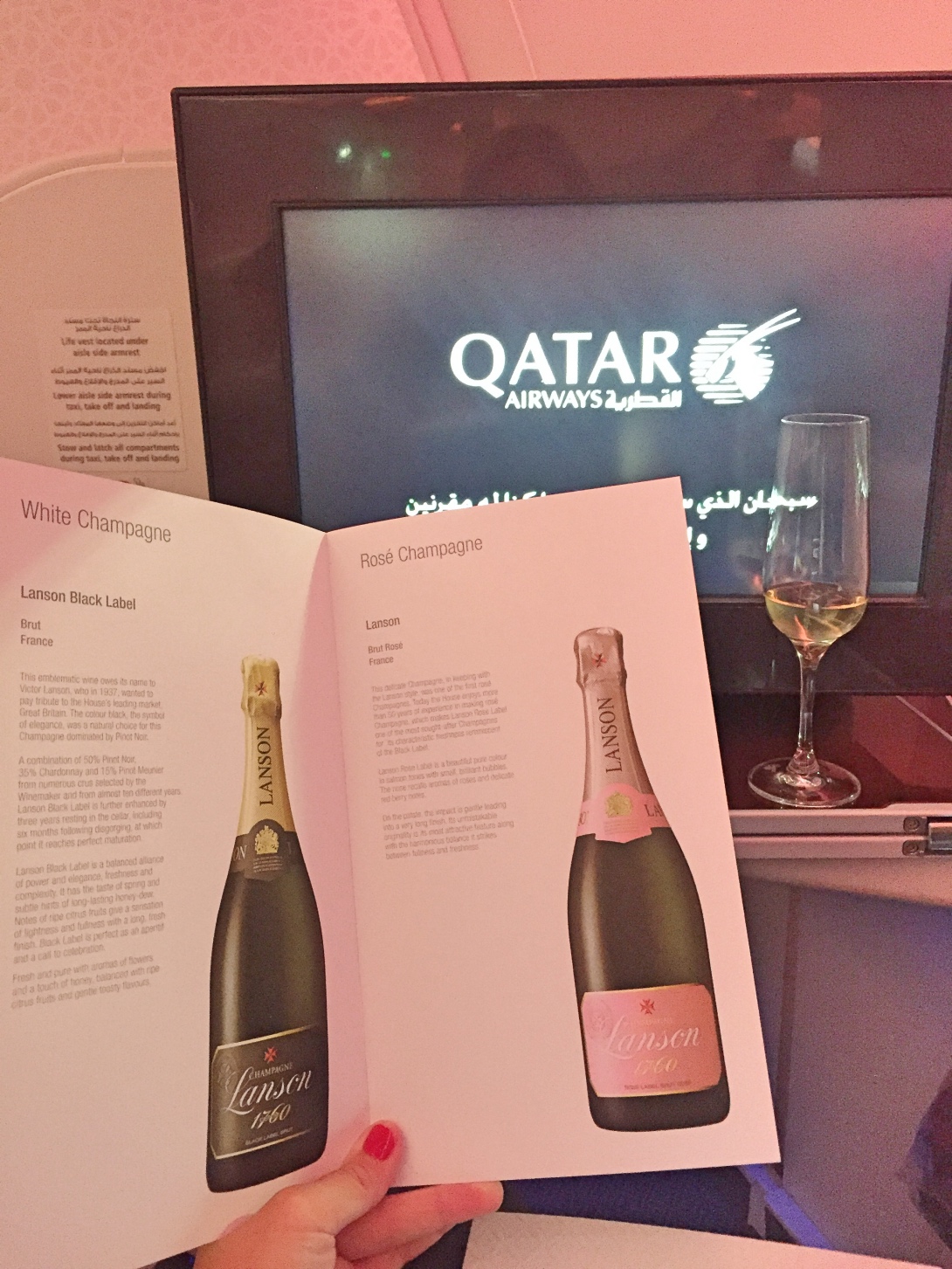 Qatar Airways Dreamliner Business Class