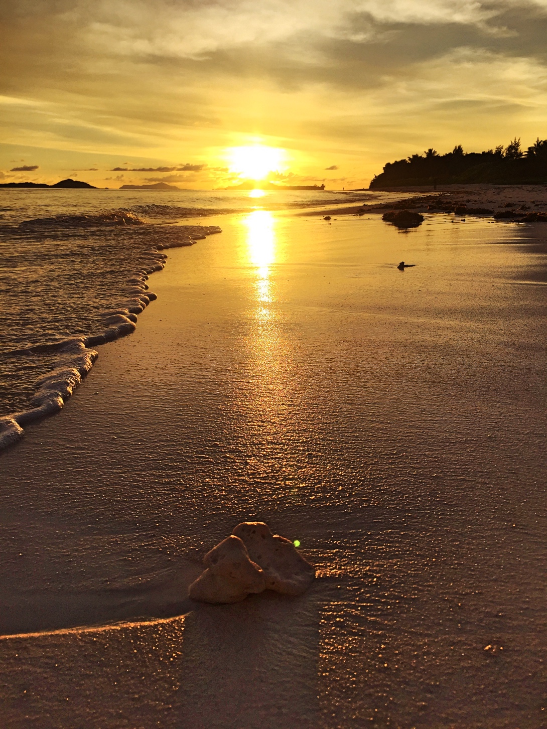 Praslin island, Seychellerna