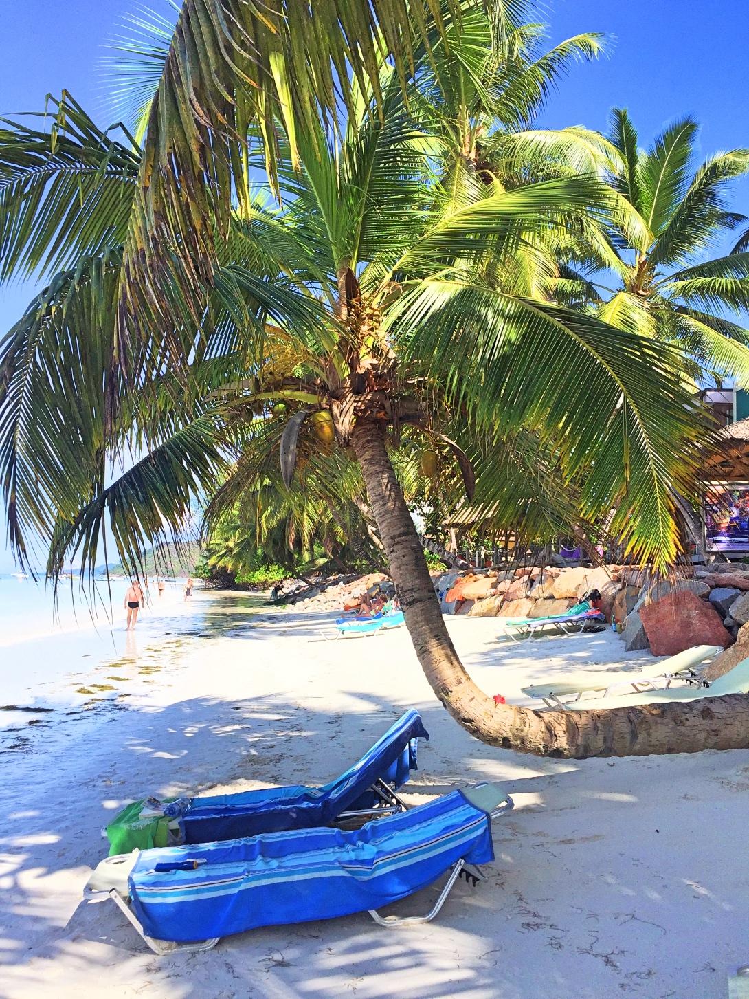 Praslin island, Seychellerna