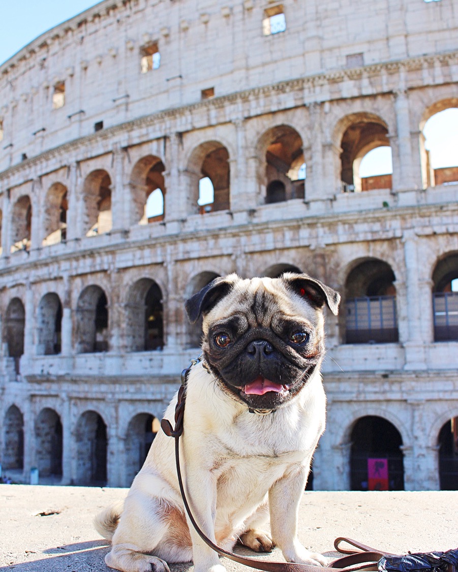 Colosseum, Rom